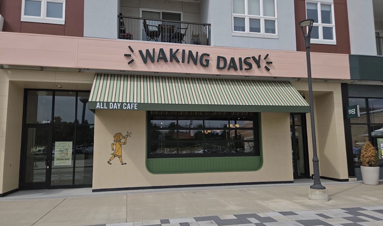 Waking Daisy